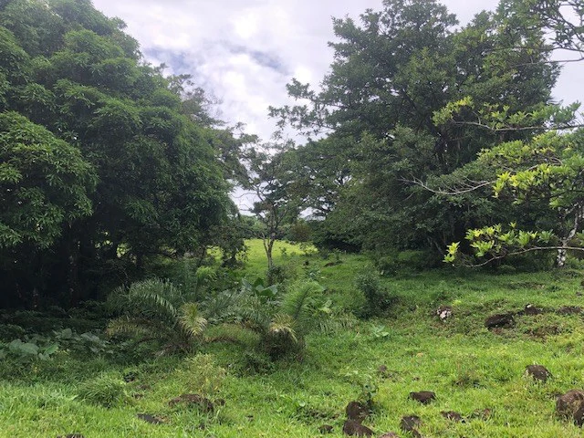 Warm Spring Mountain Property in a tropical landscape and antique wooden house,  50 minutes from Liberia city - Gallery image 7