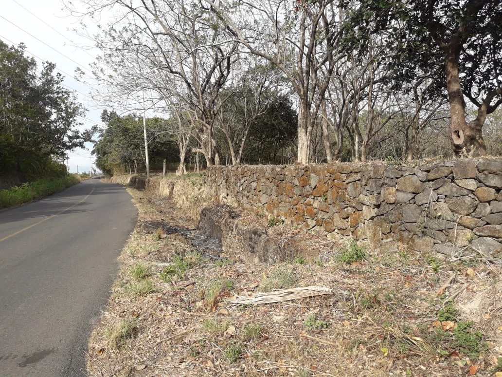 Colorado River Paradise Farm for Sale - Just 10 Minutes from Liberia - Gallery image 4
