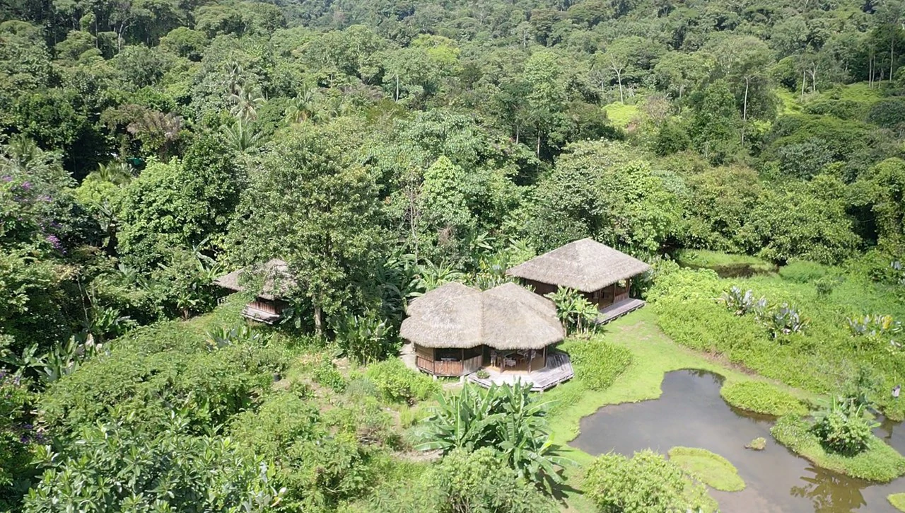 60 Acre Fully Sustainable and Impactful Conservation Initiative Near Golfito: Mountain Multi Unit Building For Sale in Golfito - Gallery image 27