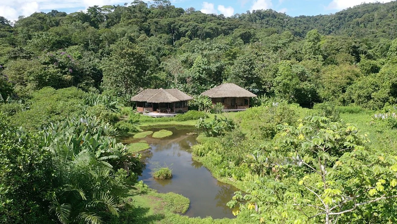 60 Acre Fully Sustainable and Impactful Conservation Initiative Near Golfito: Mountain Multi Unit Building For Sale in Golfito - Gallery image 26