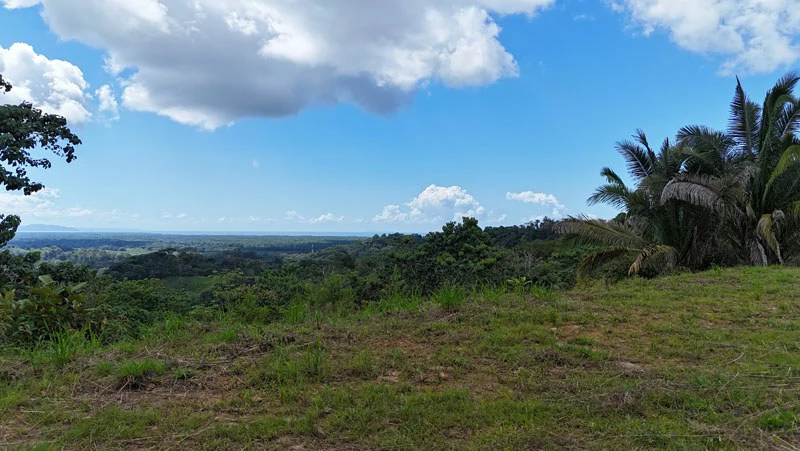 Gorgeous Ocean View Acreage in San Buenas - Gallery image 6