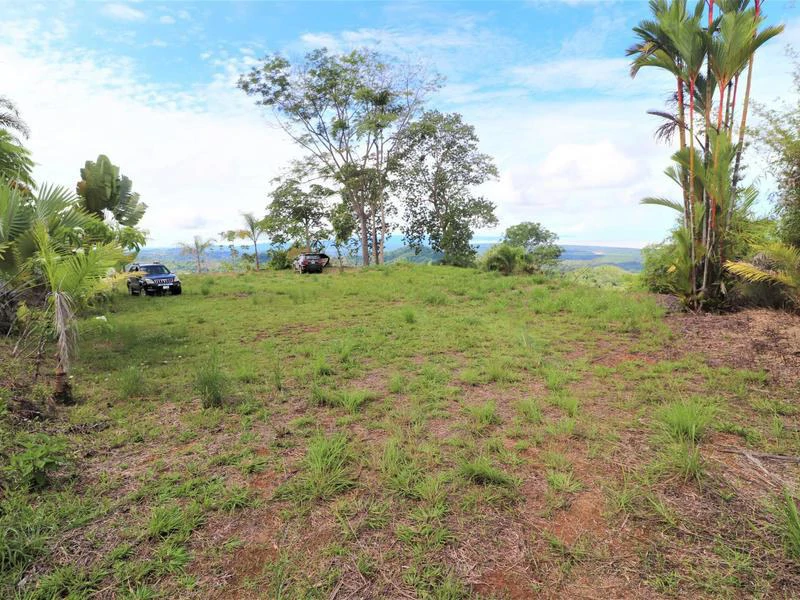 Captivating 3.15-Acre Property: Huge Pricedrop! Firesale Oceanview Lot in Tres Rios - Gallery image 47