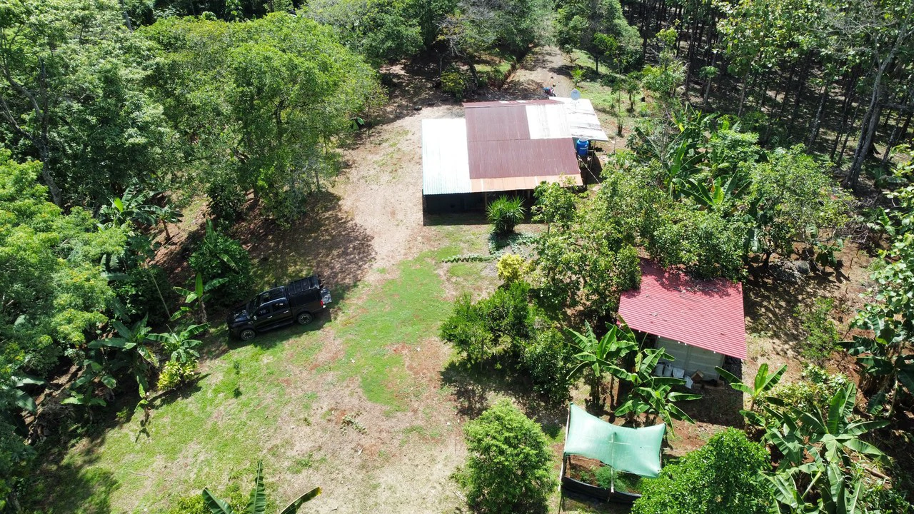 7-Hectare Farm with Teak Plantation, Existing Home & Eco-Development Potential Near Parrita, Costa Rica - Gallery image 3