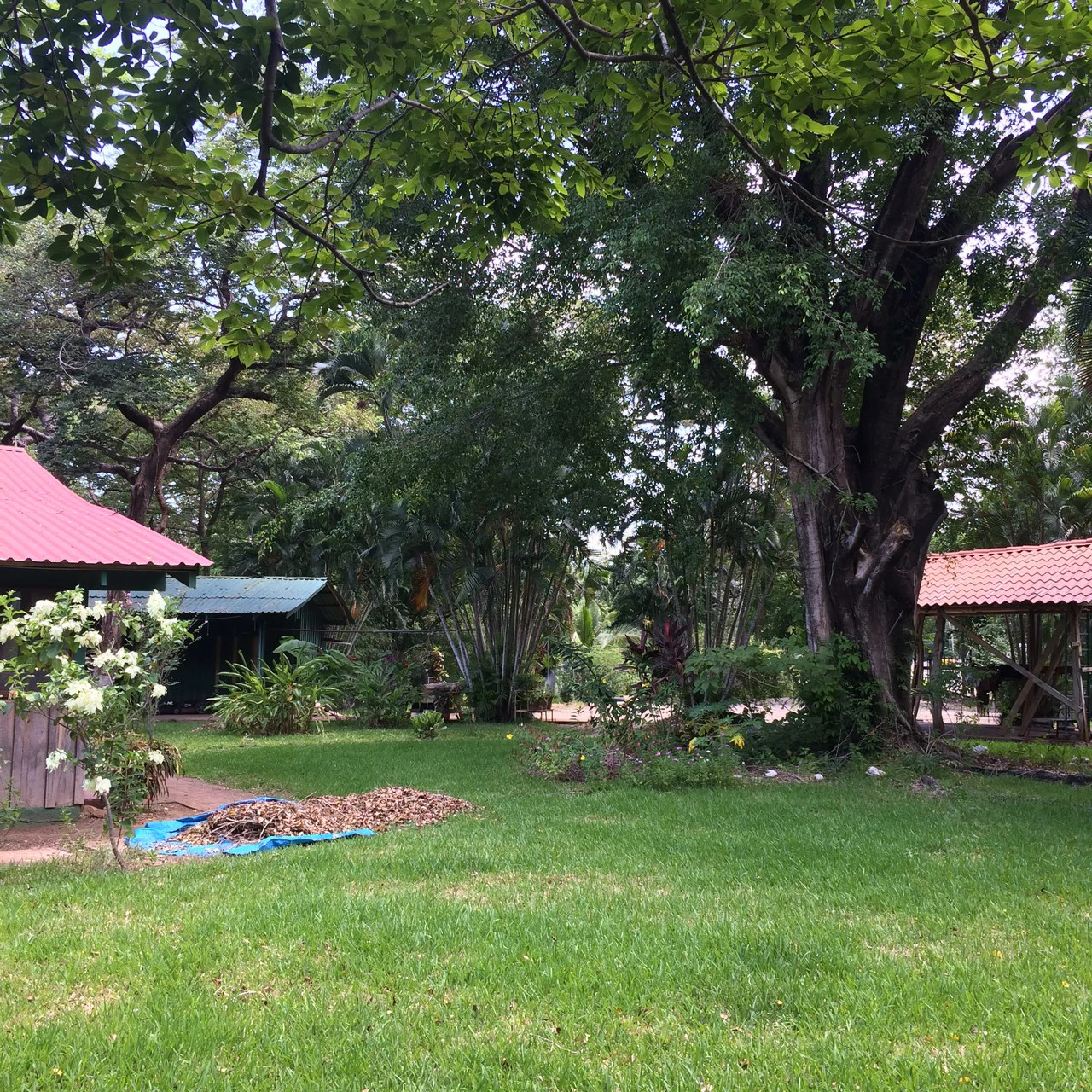 COUNTRY SIDE HOUSE: Country house close to the center of Liberia - Gallery image 14