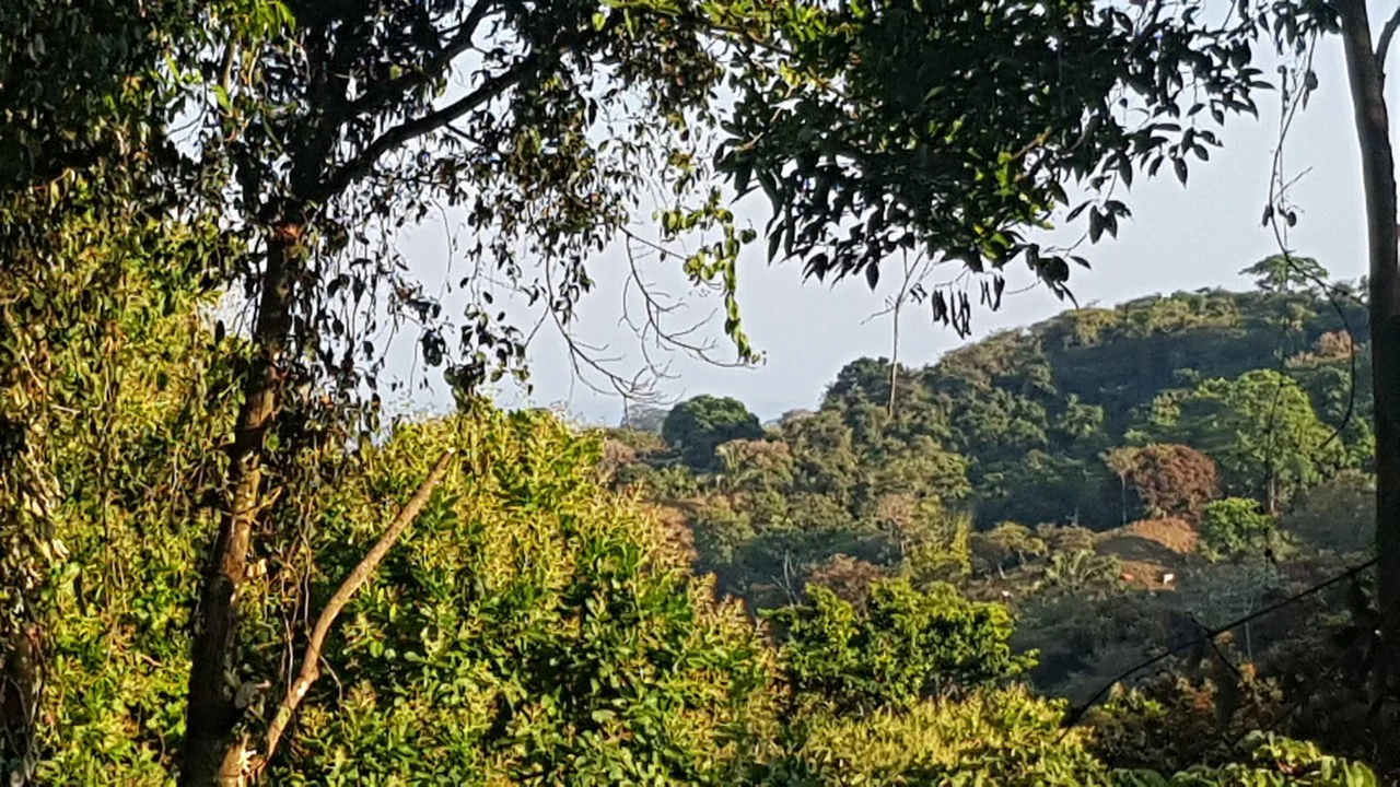 Building Lot in Manuel Antonio, Surrounded by Nature - Gallery image 7