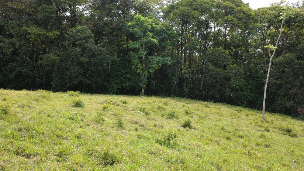 Countryside Home Construction Site For Sale in Centro de Pérez Zeledón - Gallery image 2