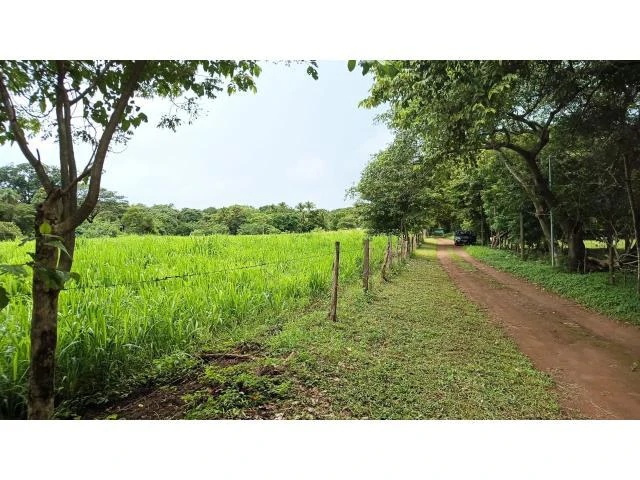Amazing building property for sale 5 minutes away from Liberia center and 2 minutes walking to the Colorado River - Gallery image 26
