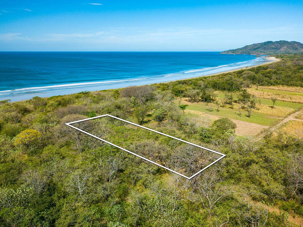 Playa Grande Lot #1: Titled Beachfront Estate Lot Playa Grande - Gallery image 3