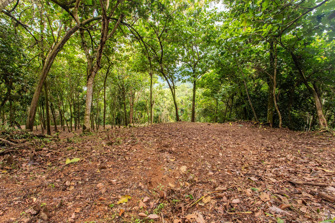 2.4 Acre Property In The Mountains Above Dominical with Waterfall Views - Gallery image 5