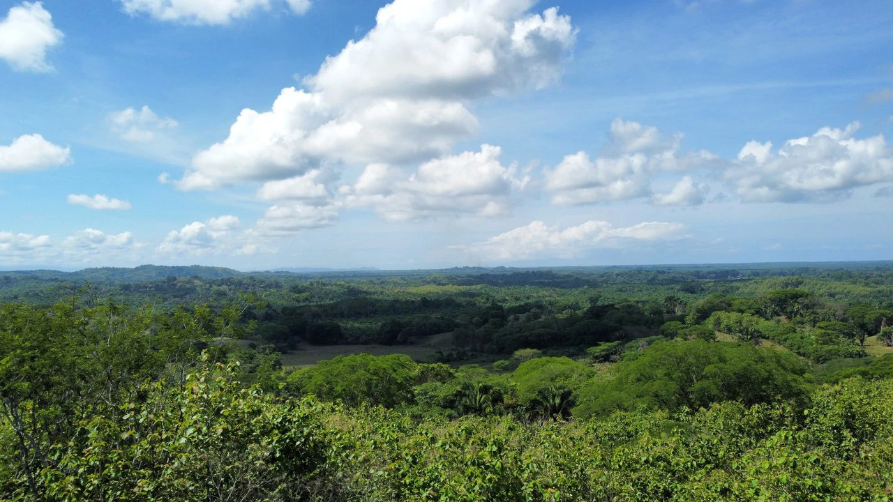 7-Hectare Farm with Teak Plantation, Existing Home & Eco-Development Potential Near Parrita, Costa Rica - Gallery image 2