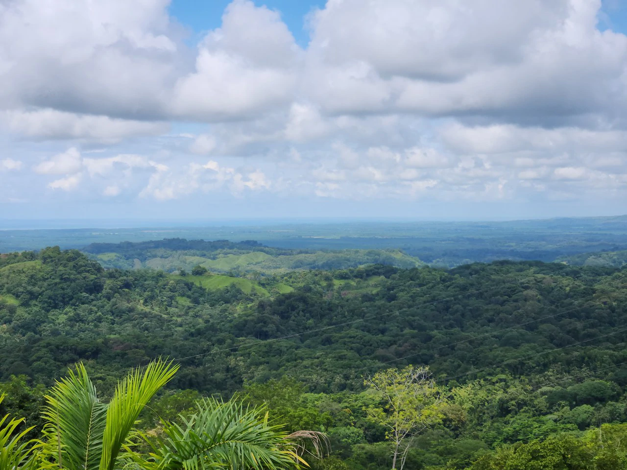 PRIME PARRITA FARM FOR SALE - Gallery image 9