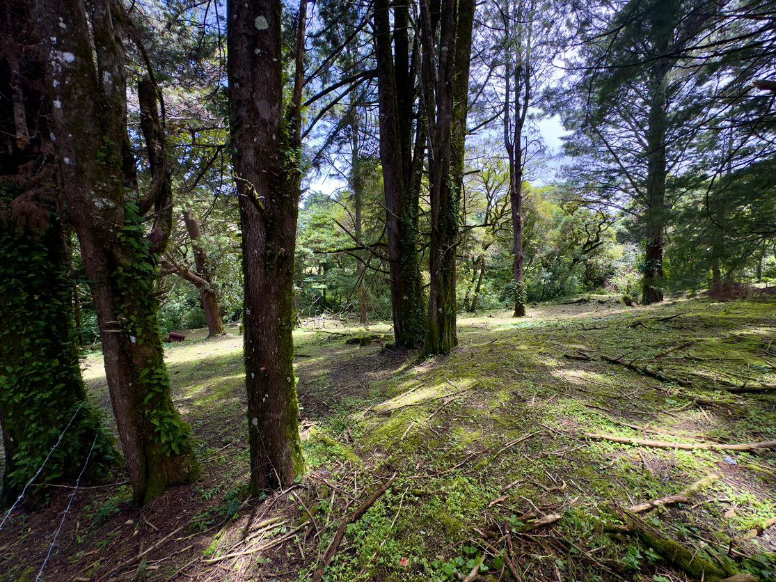 Live in harmony with nature in San Rafael de Heredia - Gallery image 13