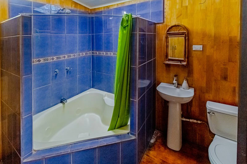 Casa San Pedrito: Beautiful house for sale in San Pedrito,(1,3hect) Perez Zeledon - Gallery image 28