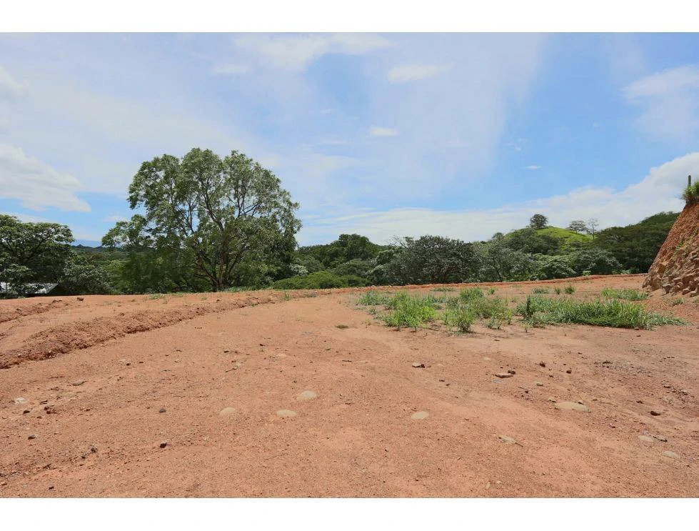 Sale of flat lot in Turrucares
