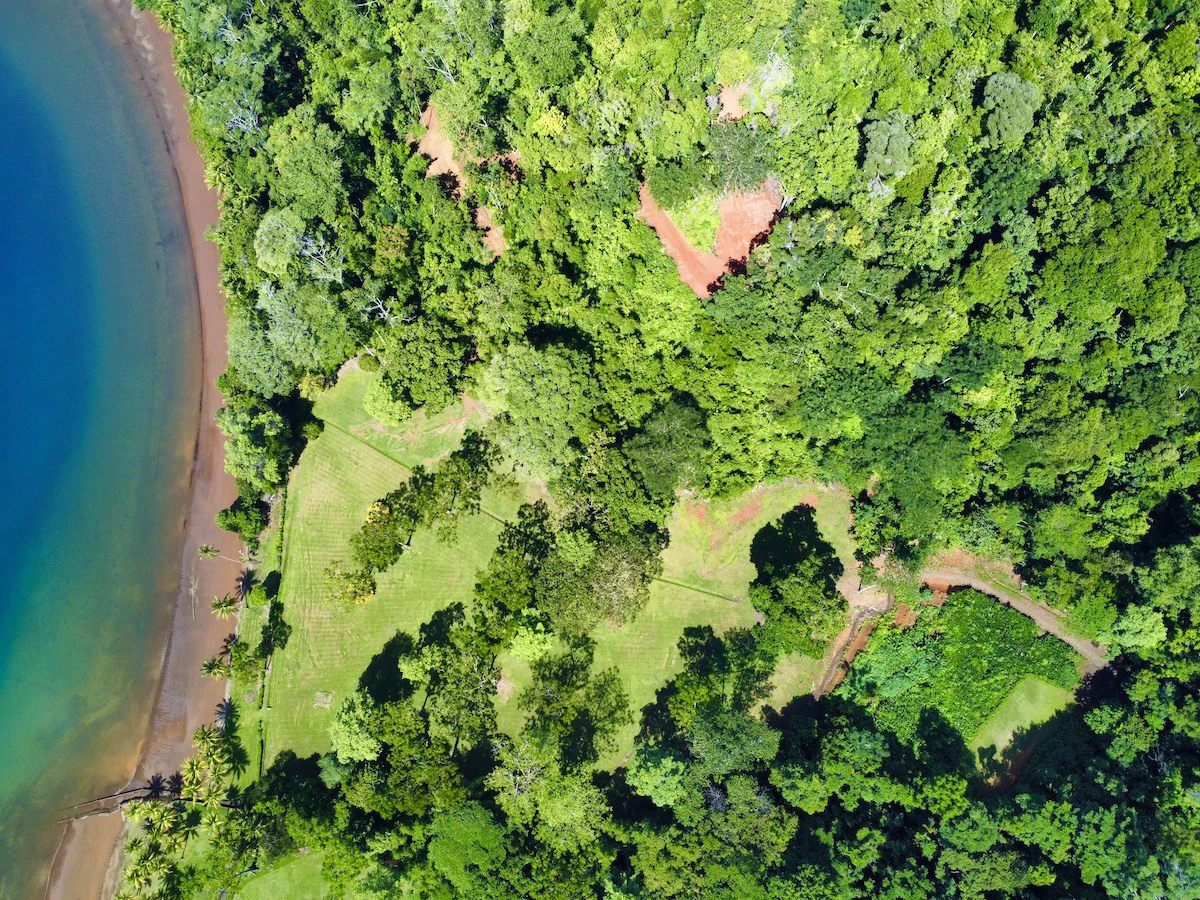 Spectacular Coastal Rainforest Estate Property - Gallery image 4