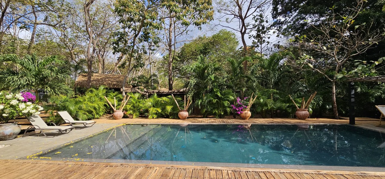 Successful Wellness and Spa with restaurant: One Of A Kind, Successful Wellness, Spa And Restaurant Oasis Close To Tamarindo - Gallery image 43