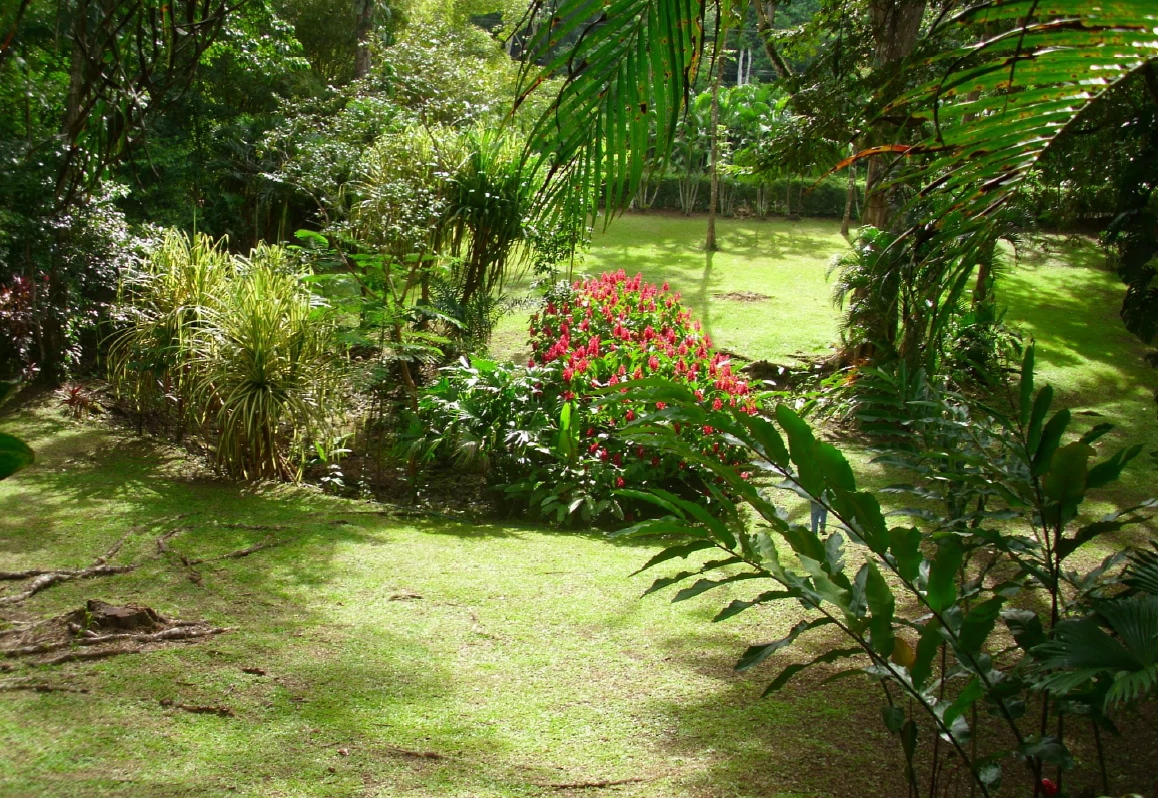 6,254 m² of Prime Tourism Potential or lots - Gallery image 11