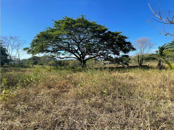For Sale: This beautiful flat lot in La Ceiba of Orotina - Gallery image 9