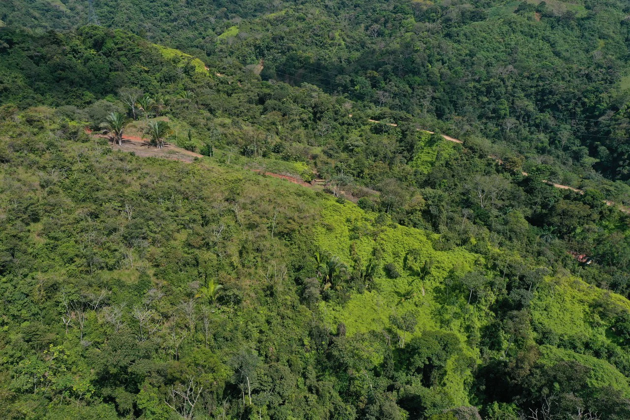 12 Acre Ocean View Farm in a Private Agricultural Community - Gallery image 16