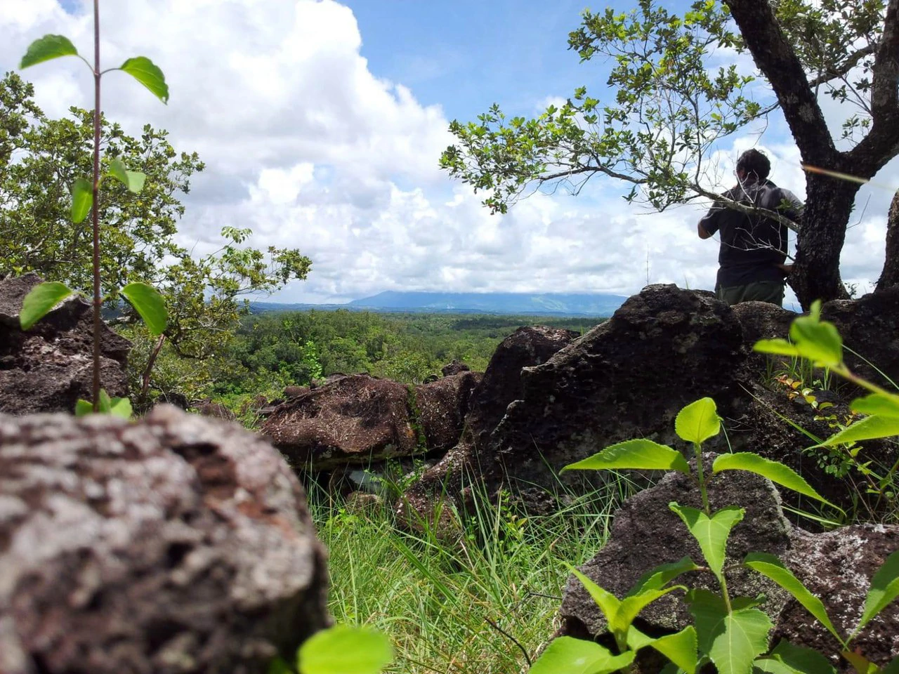 294 ha Pijije: Building Land Pijije Liberia