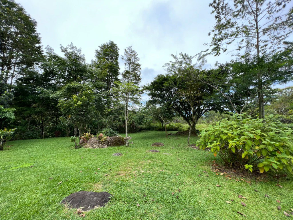 Mountain and Countryside House For Sale in Santa Elena - photo 4