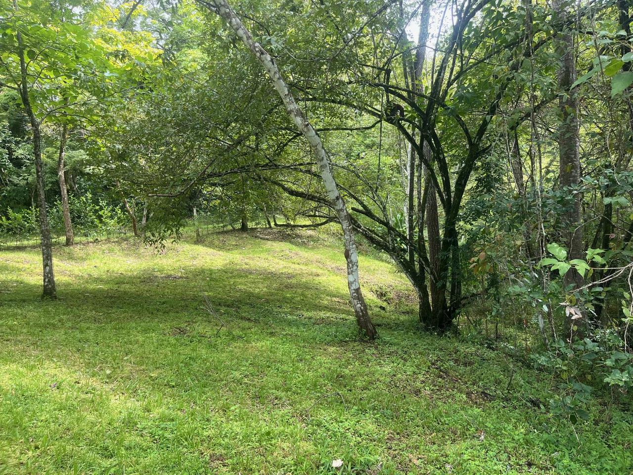 6000m2 Ready to Build Lot in Delicias: Great Price with Project and Permits included - Gallery image 2