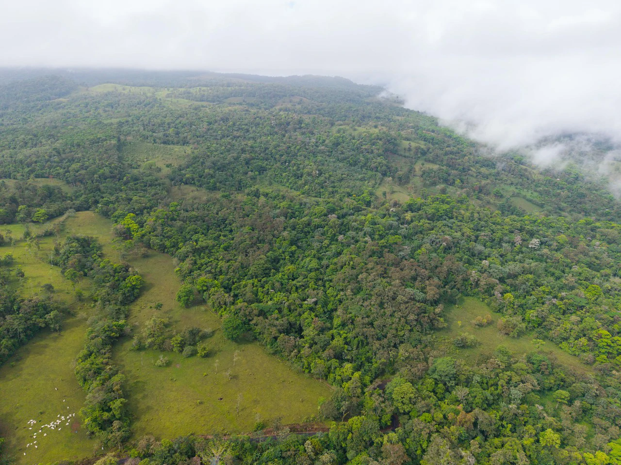 Finca Las Zompopas-Río Celeste: 113-Acre Biodiverse Property in Bijagua, Ideal for Eco-Tourism, Private Retreats, or Sustainable Development - Gallery image 29