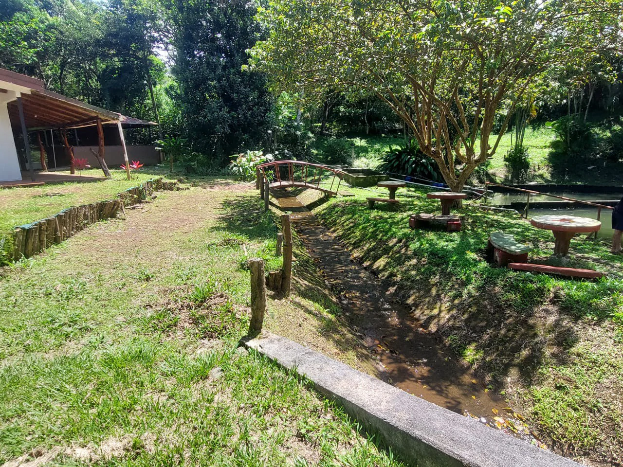 FINCA LA TEJONA - Gallery image 20