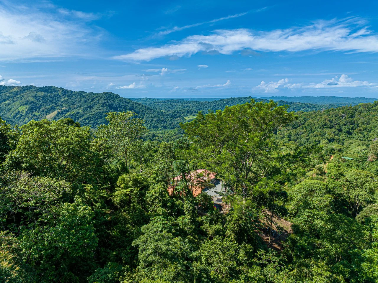 11.25 ACRES- 4 Bedrooms, Two Homes, Panoramic Ocean & Mountain Views With Stream, 30+ Fruit Trees, 40 Minutes to Quepos!!! - Gallery image 5