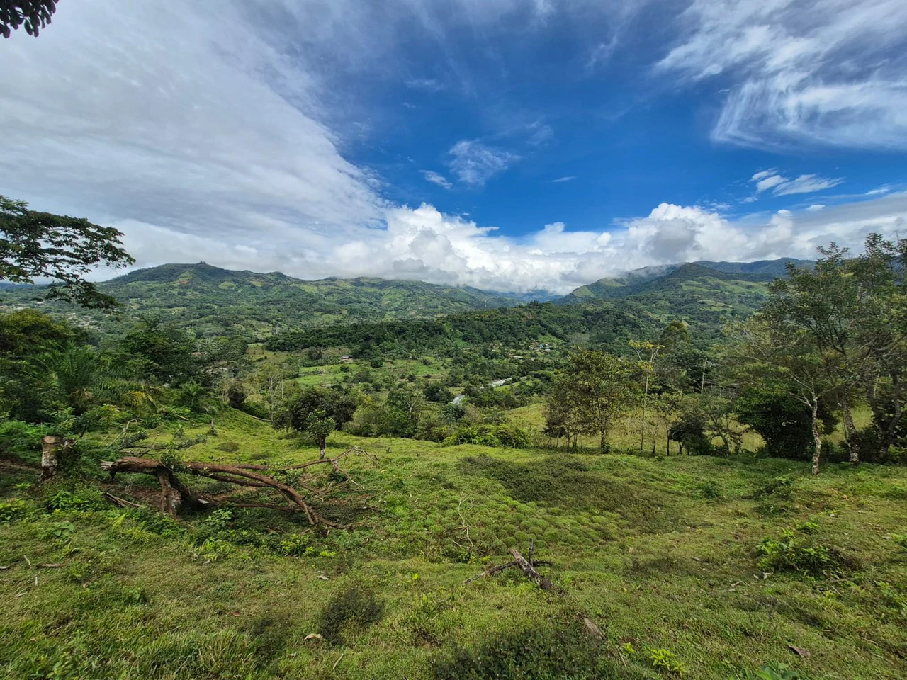 Countryside Home Construction Site For Sale in Daniel Flores - Gallery image 10