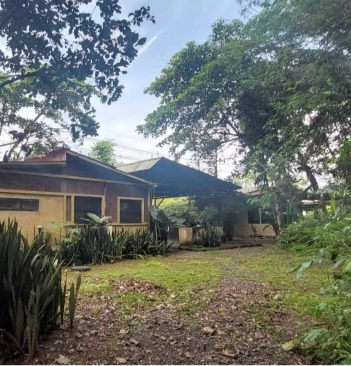 Perla Tropical Rio Seco: Great Opportunity for Sale with reduced price - Gallery image 25