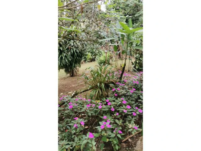 Countryside, Lakefront and Mountain House For Sale in Arenal - Gallery image 7