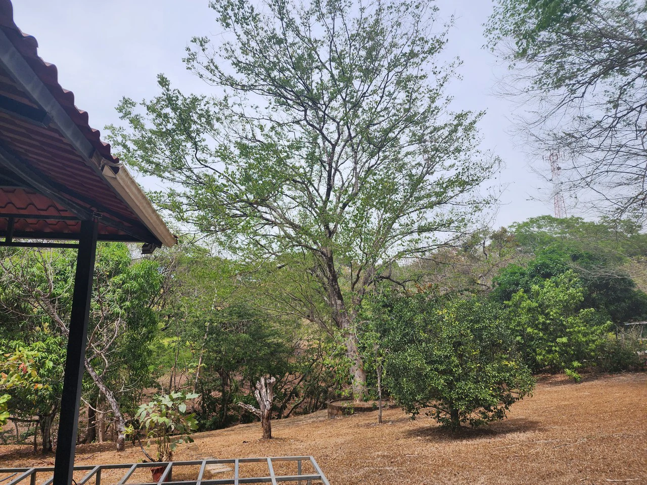 Countryside and Mountain Home Construction Site For Sale in San Juan de Mata - Gallery image 16