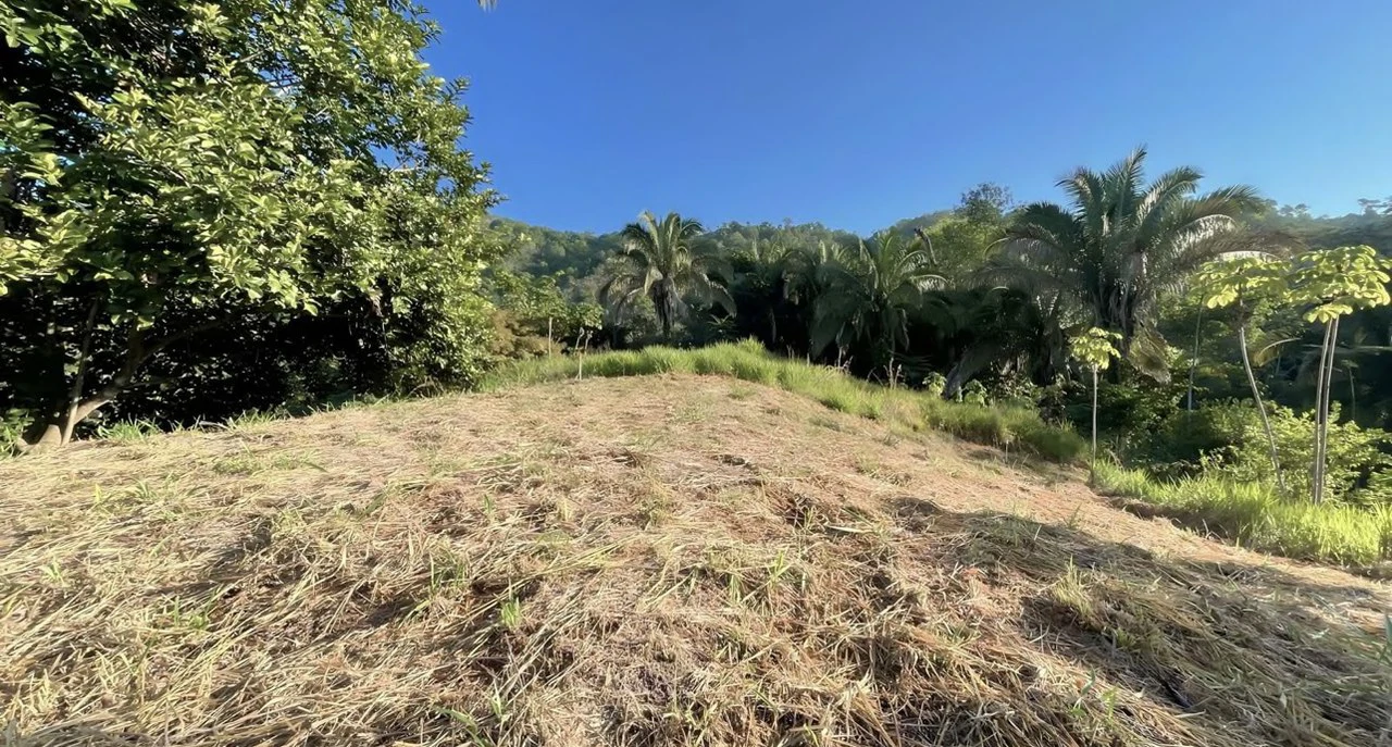 Exclusive Hermosa 1.2 Acre Lot with Panoramic Mountains and Ocean View. - Gallery image 9