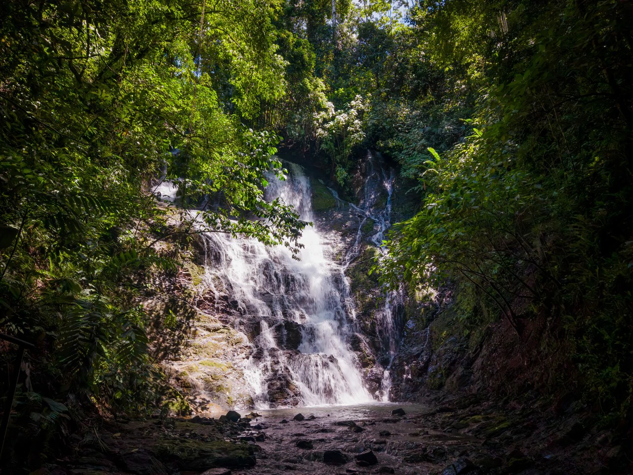 Front Row Ocean View Property with a Private Waterfall in Dominical - Gallery image 17