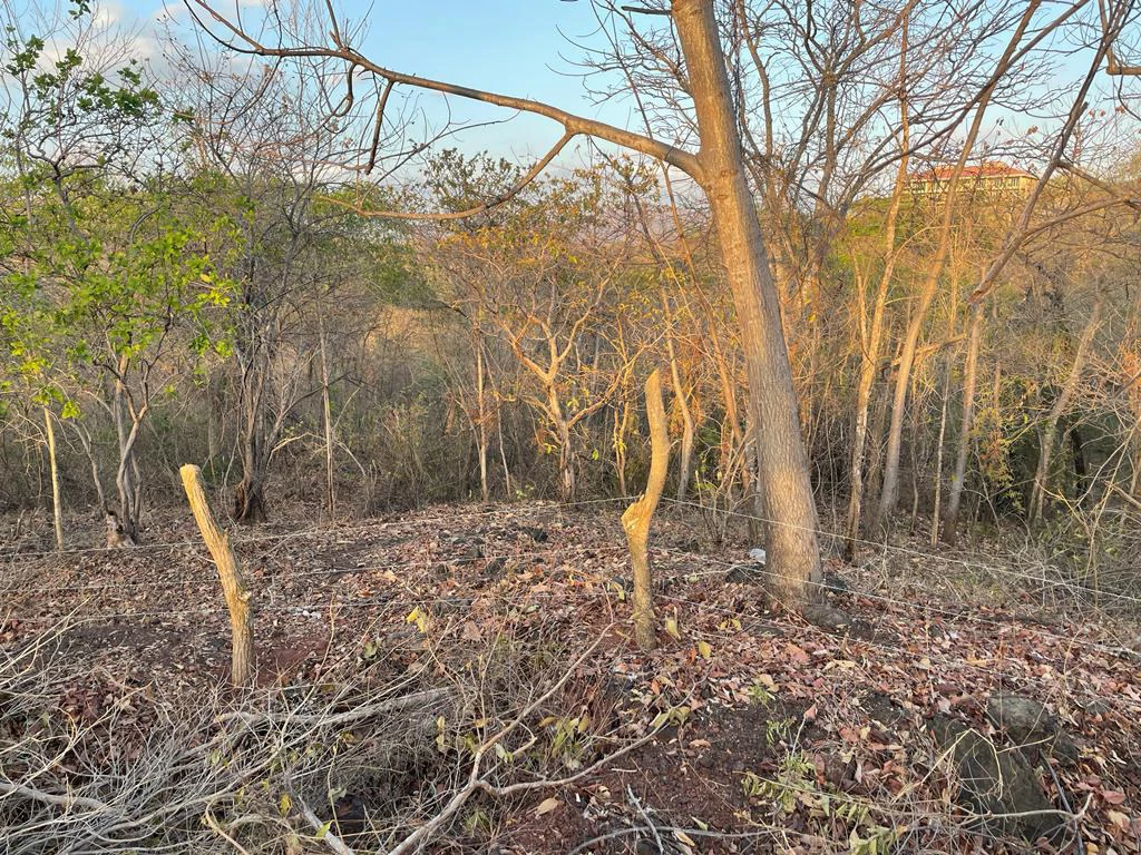 Oceanview development property for sale close to the best Conchal beaches - Gallery image 17