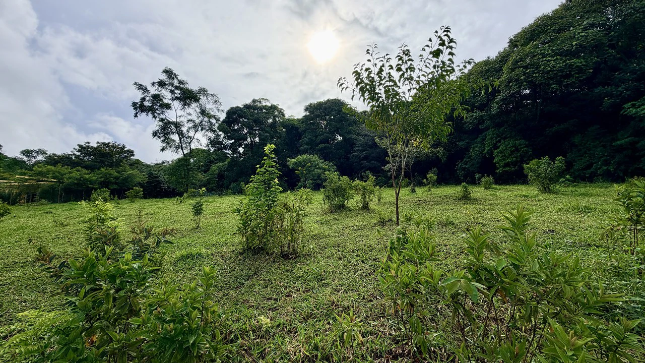 Mountain Home Construction Site For Sale in San Isidro del General - photo 20