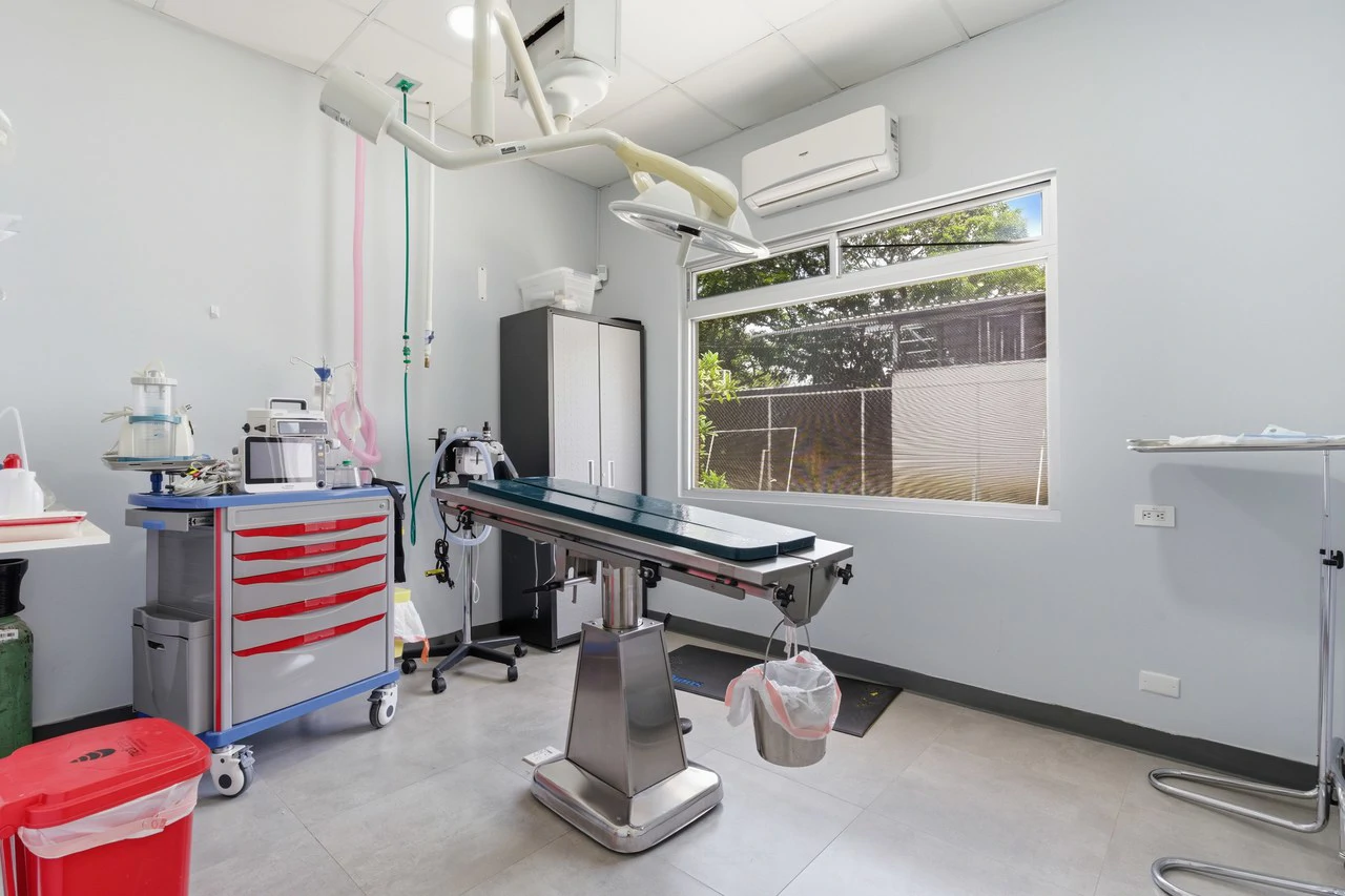 Vet Clinic: Prime Commercial Property & Veterinary Clinic For Sale - Gallery image 7