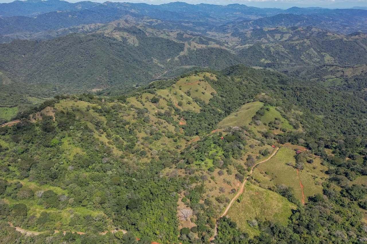 Silent Ridge: 2 Hectares With Ocean View - Gallery image 2
