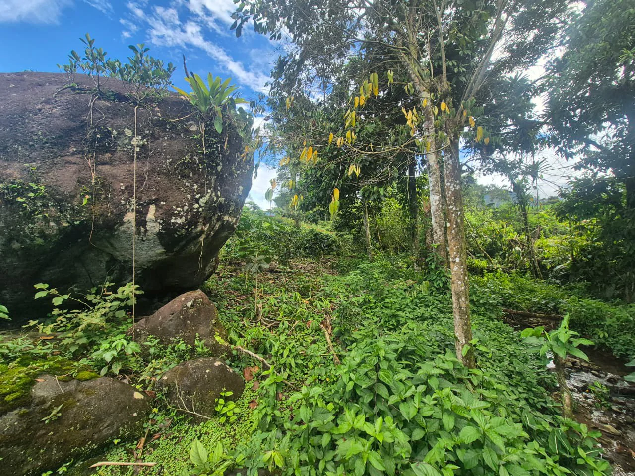 Countryside Agricultural Land For Sale in Santa Elena de San Isidro - Gallery image 15