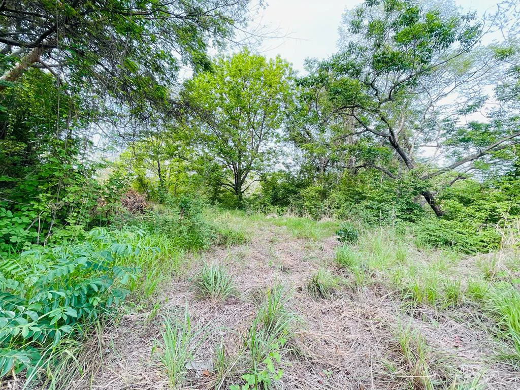 Ocean view lot for sale San Miguel beach Coyote Costa Rica - Gallery image 10