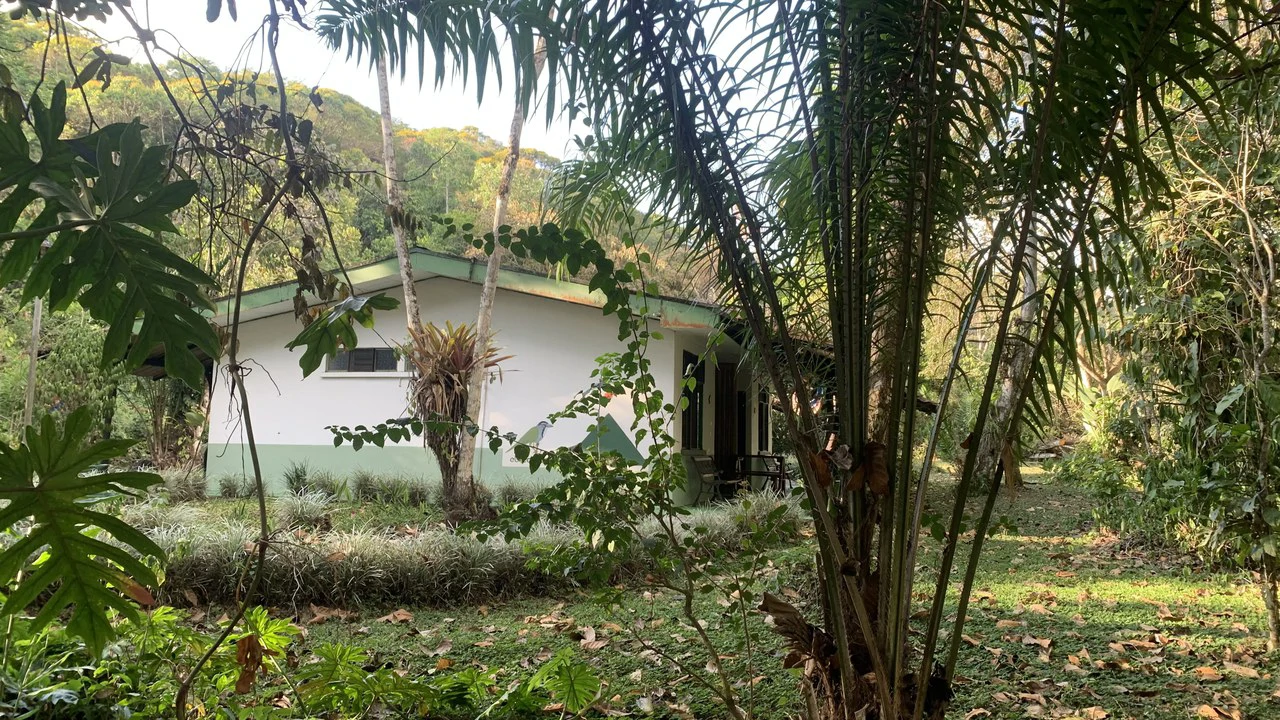 Talari Hotel: Nature and Bird Lover's Paradise - Mountain Lodge - Gallery image 14
