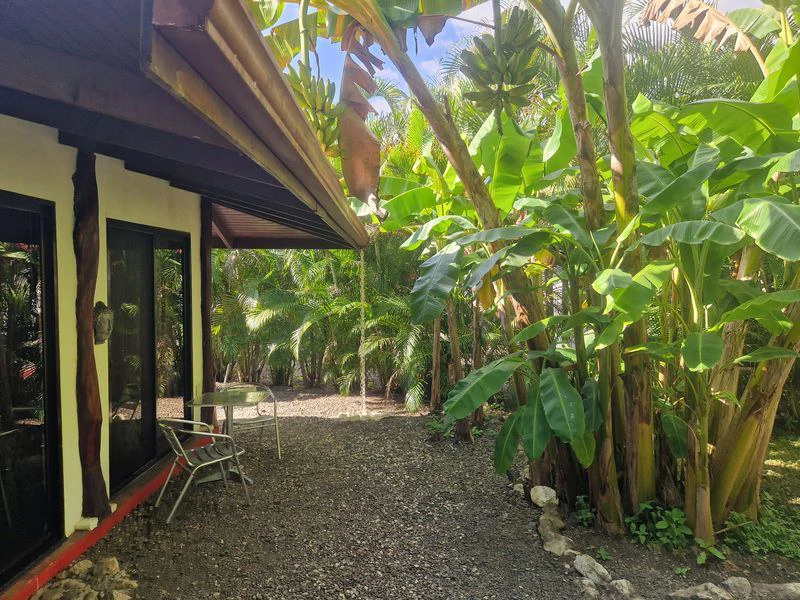 Casas Jungle: Charming Rental Compound with 5 units & pool in the heart of nature, minutes from Samara’s beaches - Gallery image 32