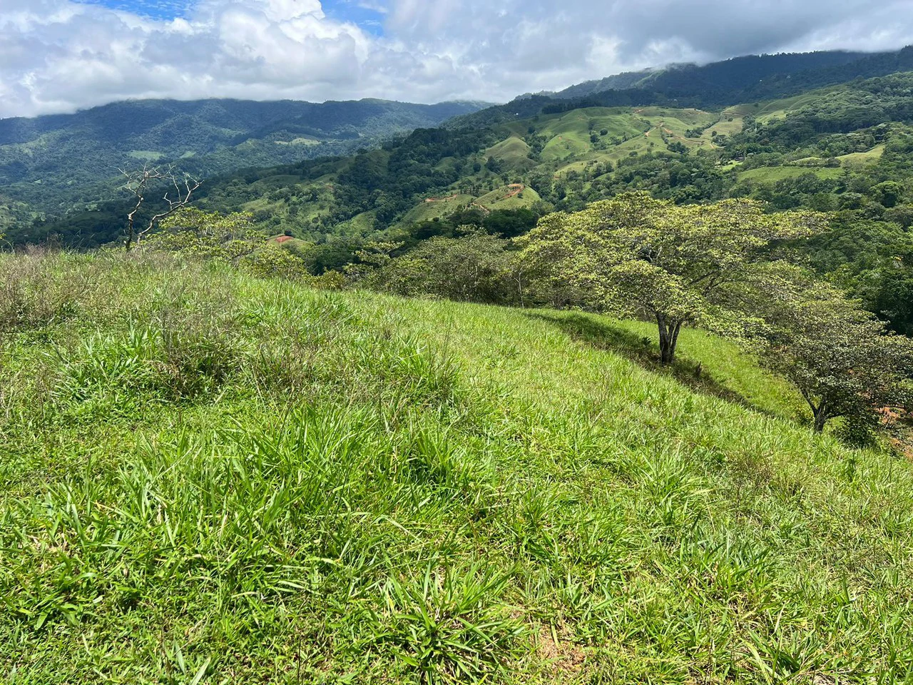 47 ACRES – Beautiful Mountain View Farm With Many Water Sources and Many Building Areas!!!! - Gallery image 6