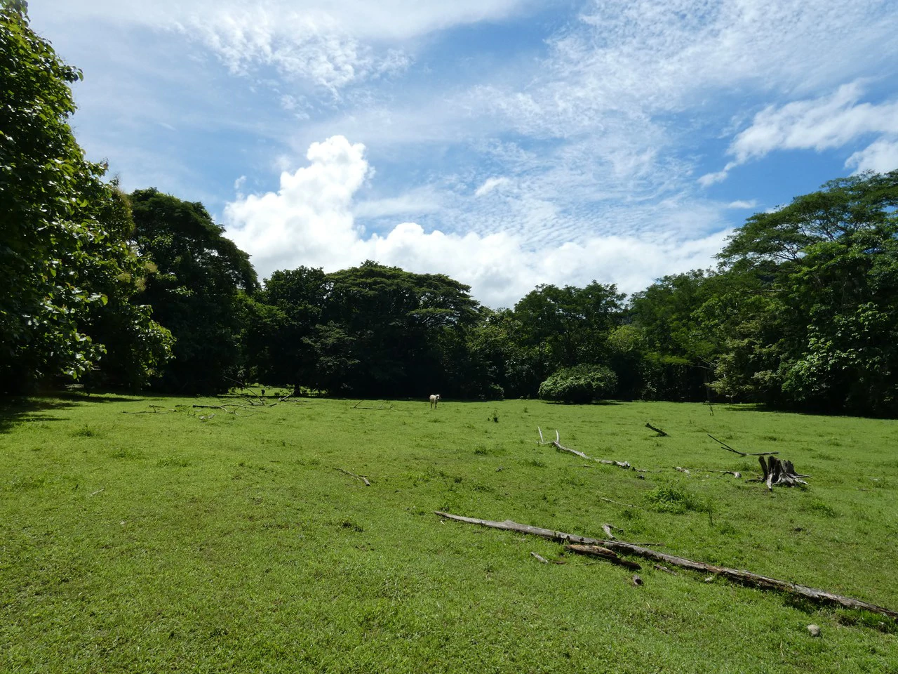 Samara beach property project with own natural reserve and ocean views - Gallery image 6