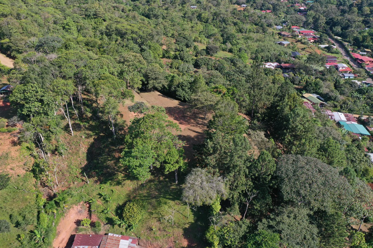 Stunning 2.4 Acre Property in Quebradas San Isidro del General - Gallery image 13