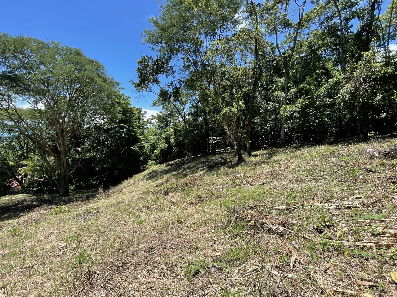 5.4 ACRES – Amazing Ocean View Acreage With Multiple Building Sites And Legal Water!!! - Gallery image 5