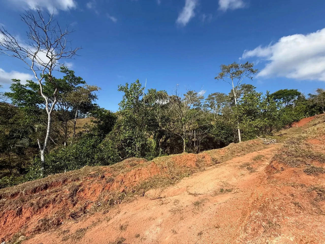 11.4 Hectare Mountain Estate: Lush Forest, River & Farm Potential in Arenal Puriscal , San Jose - Gallery image 17
