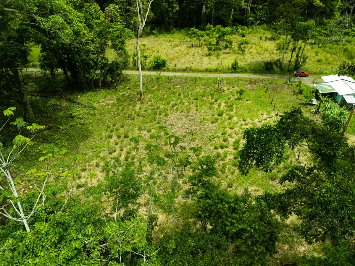 ID 1134: 3960m² Flat Development Lot Near Cahuita, Costa Rica - photo 9