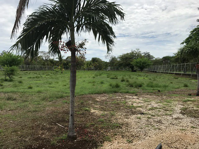Commercial Property: Large Warehouse with Public Services near Guanacaste International Airport - Gallery image 23